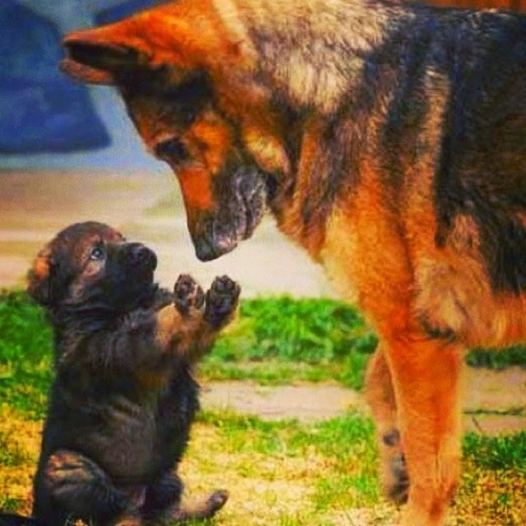 Meet your Posher, Cc - Picture 12 of 16